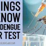 7 Things to Know About Dengue Fever Test