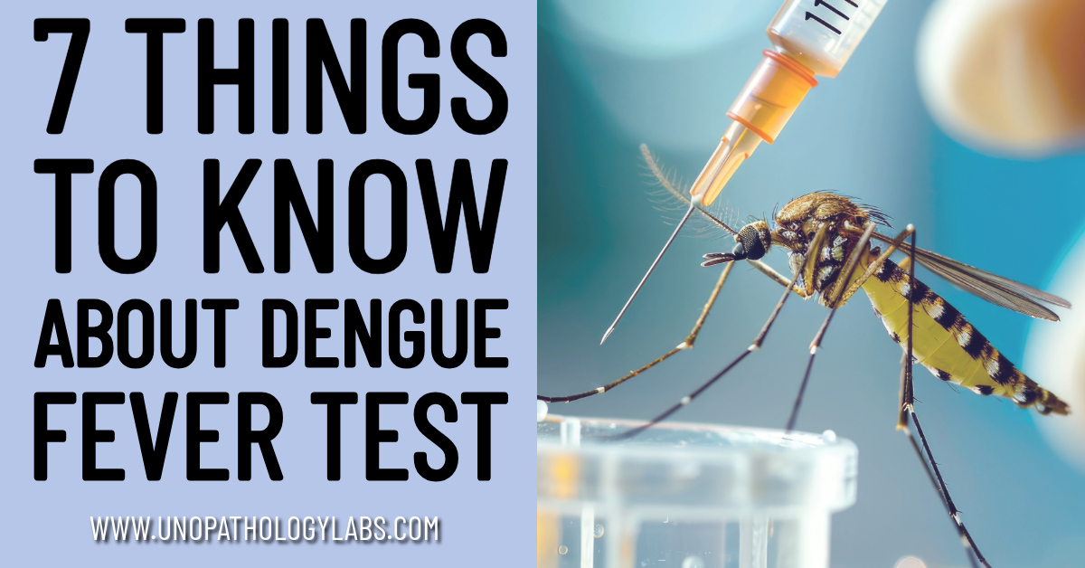 7 Things to Know About Dengue Fever Test